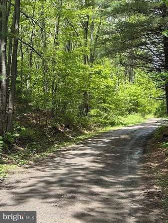 51.6 Acres of Recreational Land for Sale in Clarence, Pennsylvania