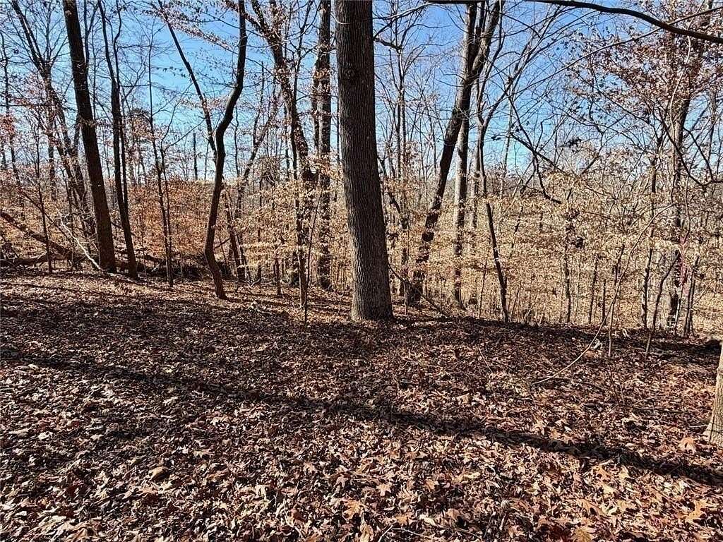 0.42 Acres of Residential Land for Sale in Lavonia, Georgia