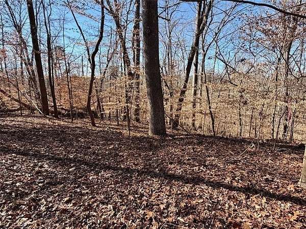 0.42 Acres of Residential Land for Sale in Lavonia, Georgia