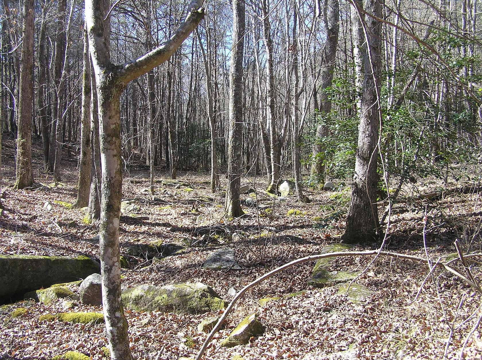 1.52 Acres of Residential Land for Sale in Spencer, Tennessee