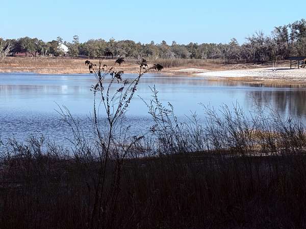 1.69 Acres of Residential Land for Sale in Chipley, Florida