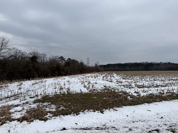 1.39 Acres of Residential Land for Sale in Roper, North Carolina