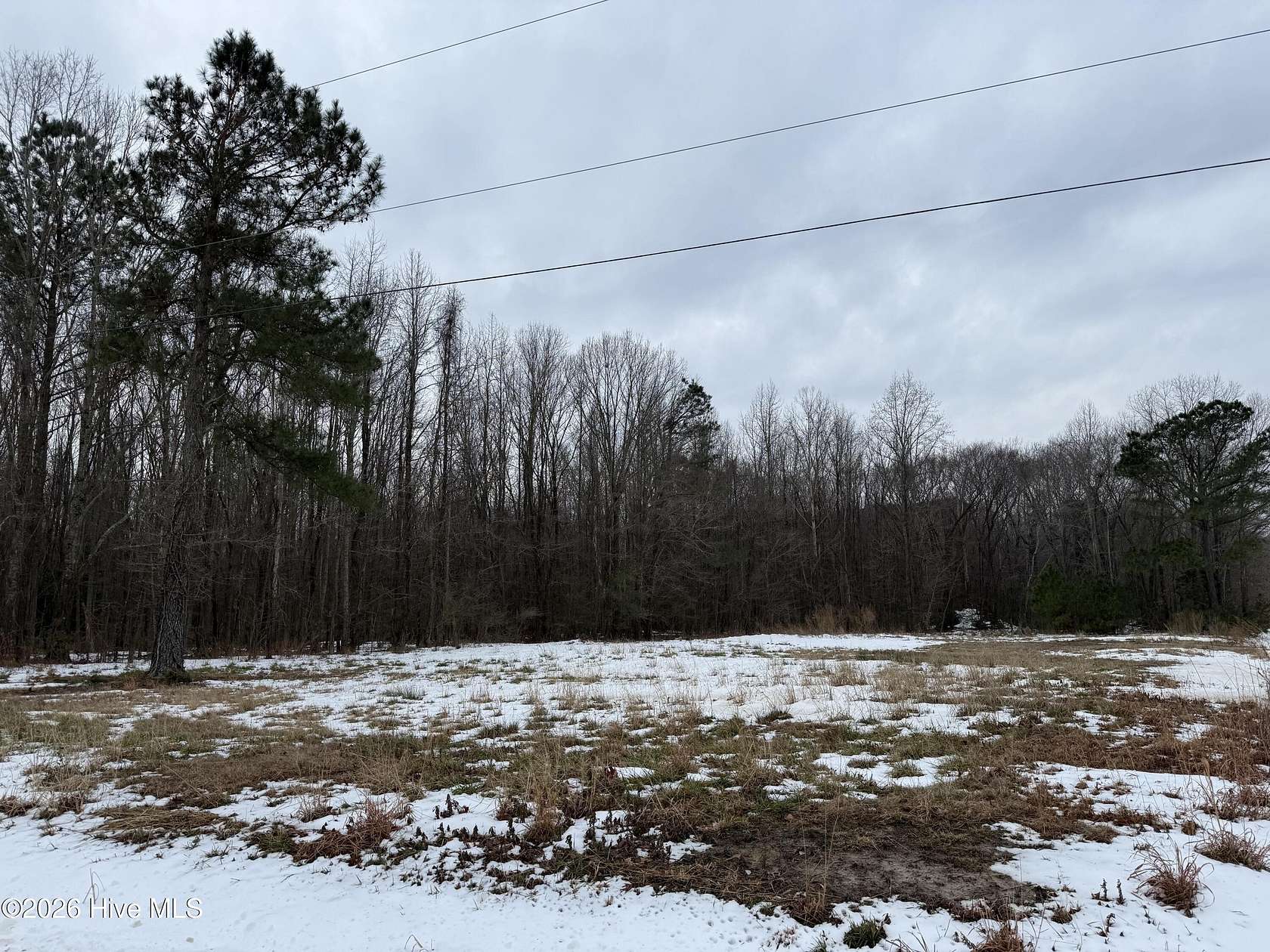 13.2 Acres of Land for Sale in Roper, North Carolina