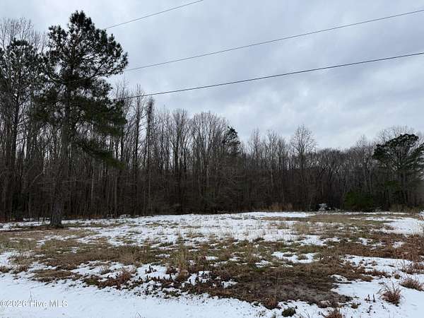 13.2 Acres of Land for Sale in Roper, North Carolina