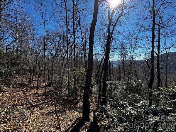 1.1 Acres of Residential Land for Sale in Black Mountain, North Carolina