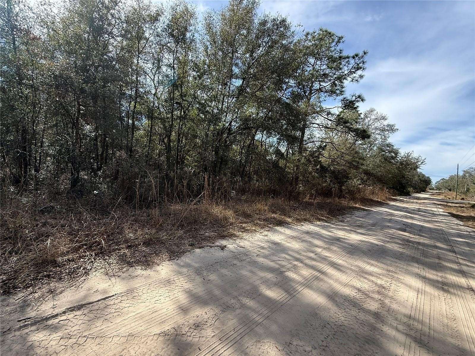 1.25 Acres of Residential Land for Sale in Bronson, Florida