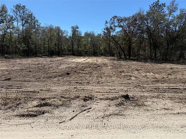 1.25 Acres of Residential Land for Sale in Bronson, Florida