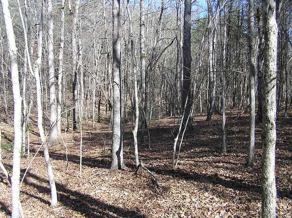 0.89 Acres of Residential Land for Sale in Spencer, Tennessee