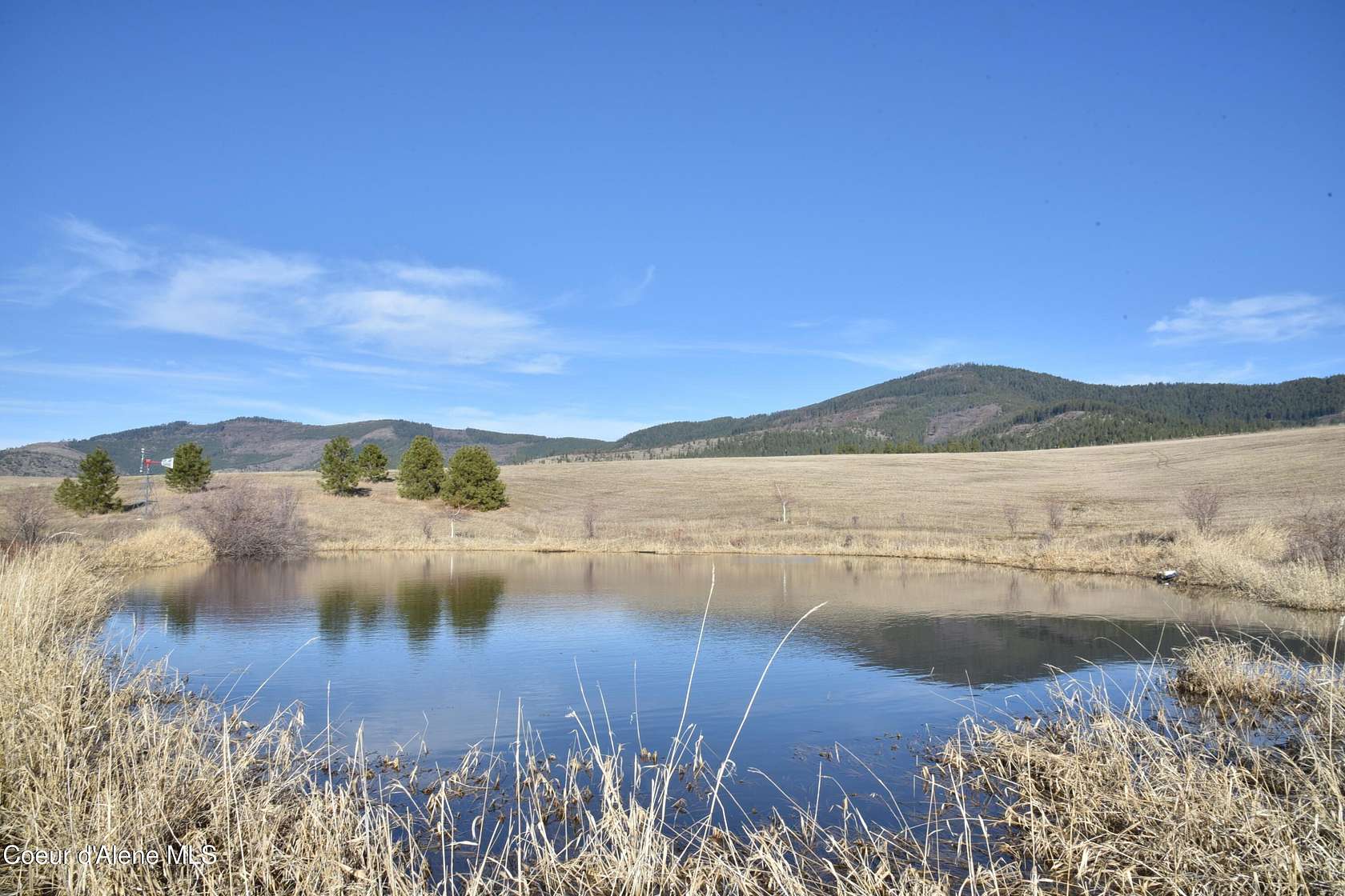 20.2 Acres of Land for Sale in Tensed, Idaho