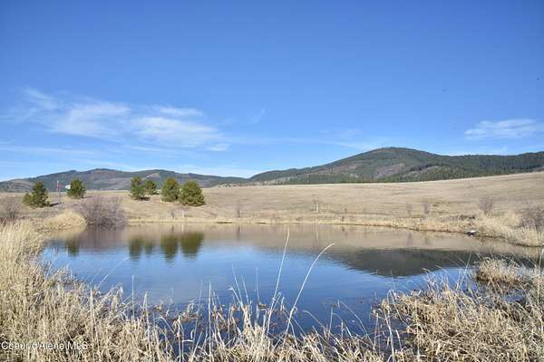 20.2 Acres of Land for Sale in Tensed, Idaho