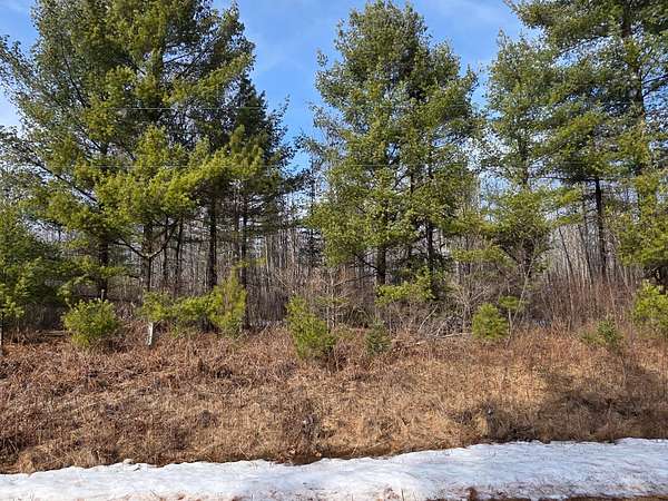 28 Acres of Recreational Land for Sale in Irma, Wisconsin