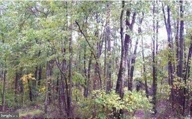 6.57 Acres of Land for Sale in Gainesville, Virginia