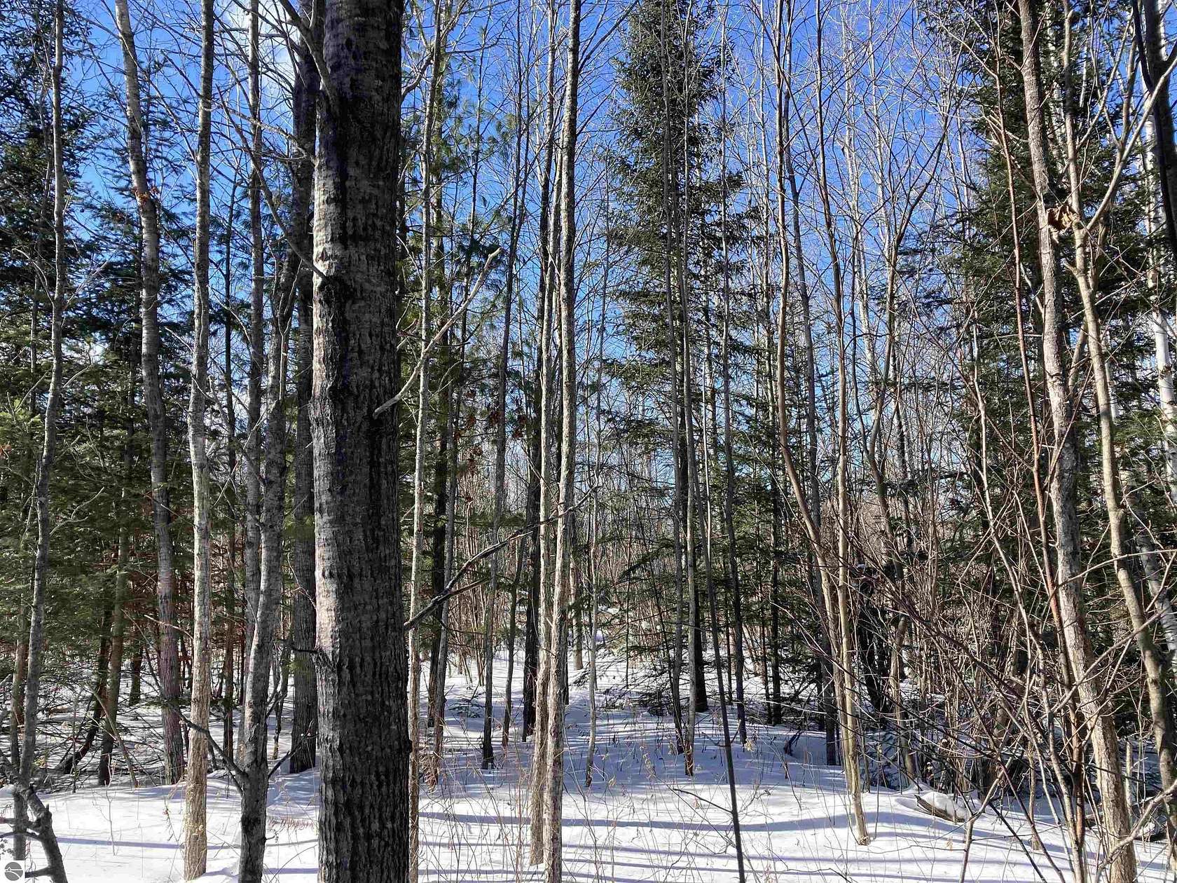 39 Acres of Recreational Land for Sale in Mio, Michigan