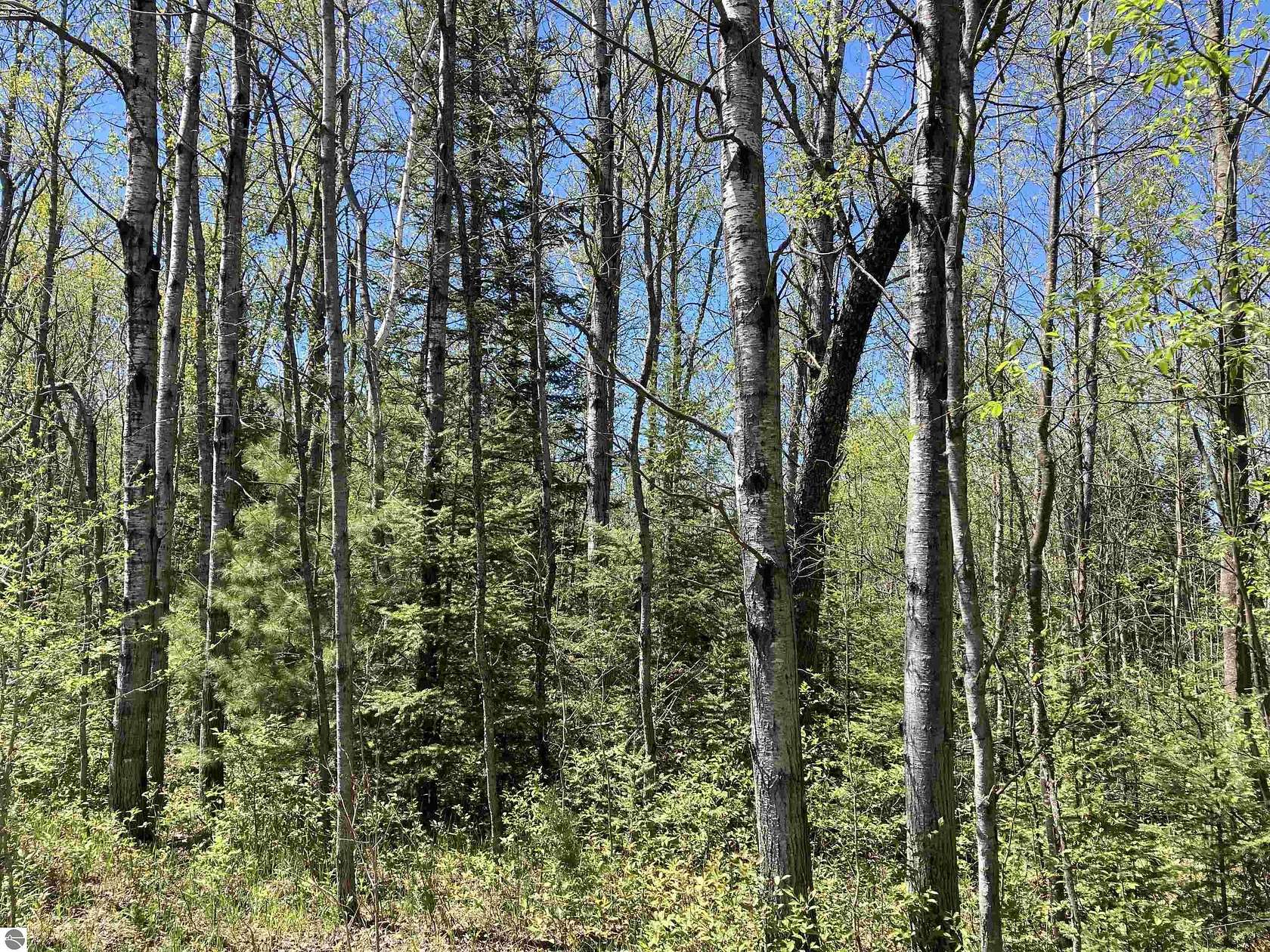 39 Acres of Recreational Land for Sale in Mio, Michigan