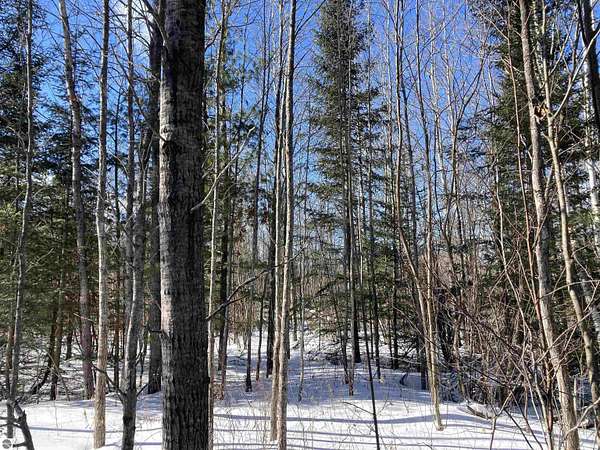 39 Acres of Recreational Land for Sale in Mio, Michigan