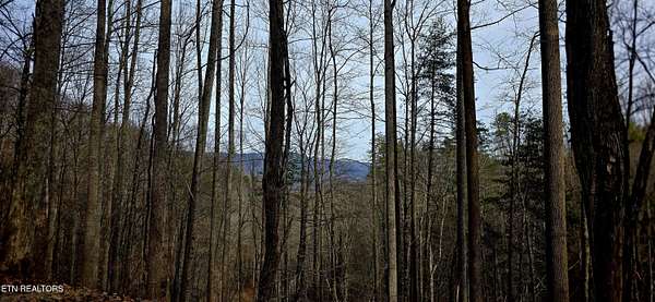 1.48 Acres of Residential Land for Sale in Sevierville, Tennessee