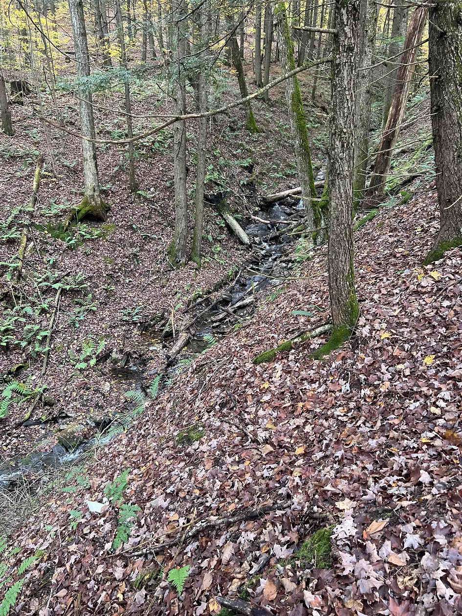 6 Acres of Land for Sale in Royalton, Vermont