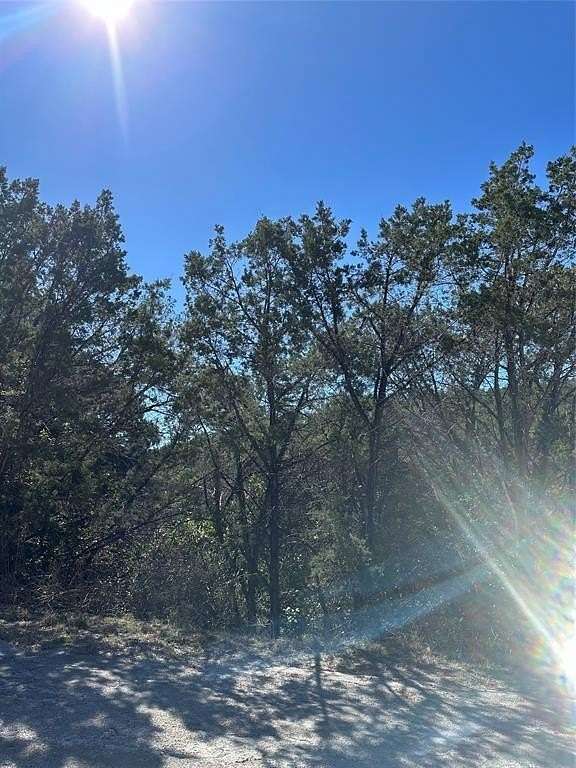 0.33 Acres of Land for Sale in Lago Vista, Texas