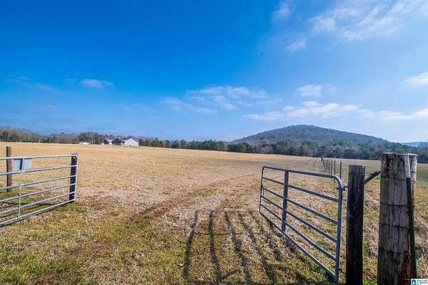 8.7 Acres of Agricultural Land for Sale in Somerville, Alabama