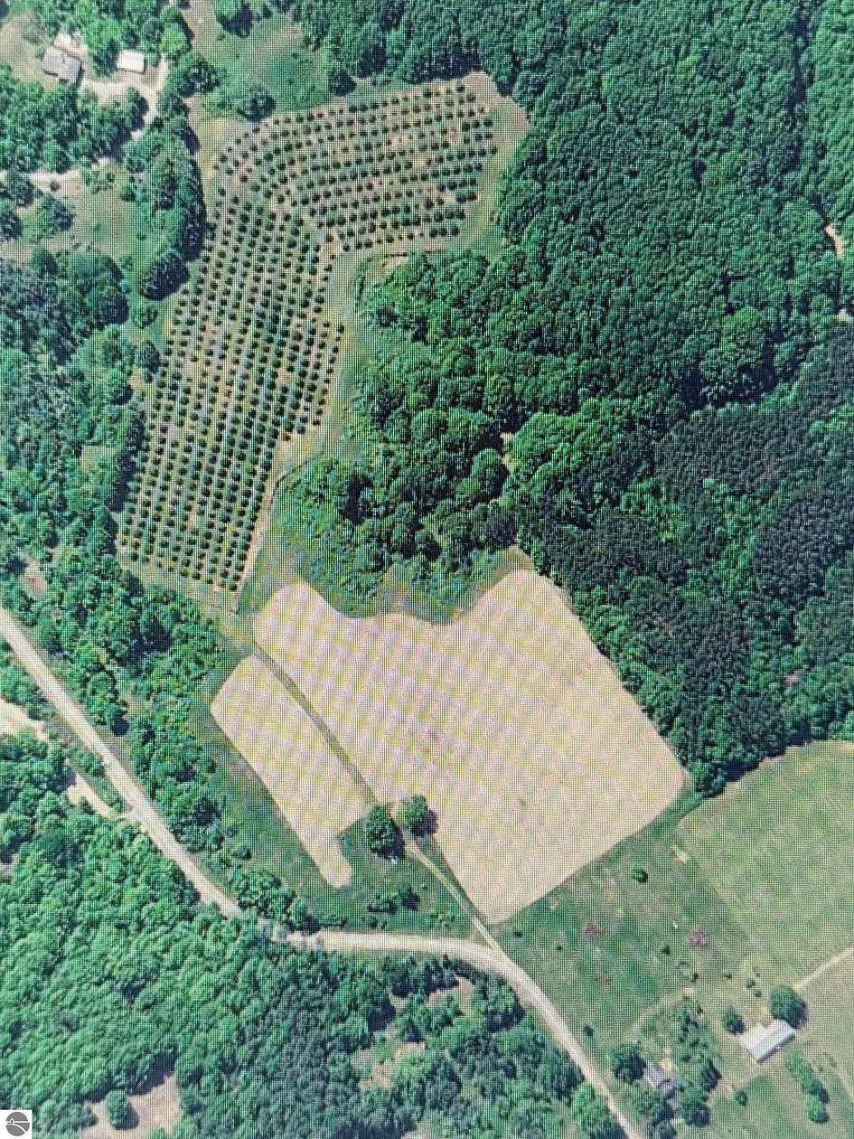 27 Acres of Land for Sale in Beulah, Michigan