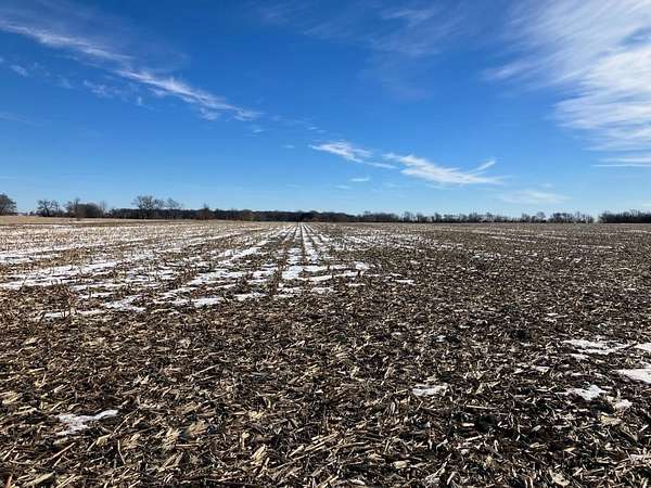 80 Acres of Agricultural Land for Sale in Caledonia, Illinois