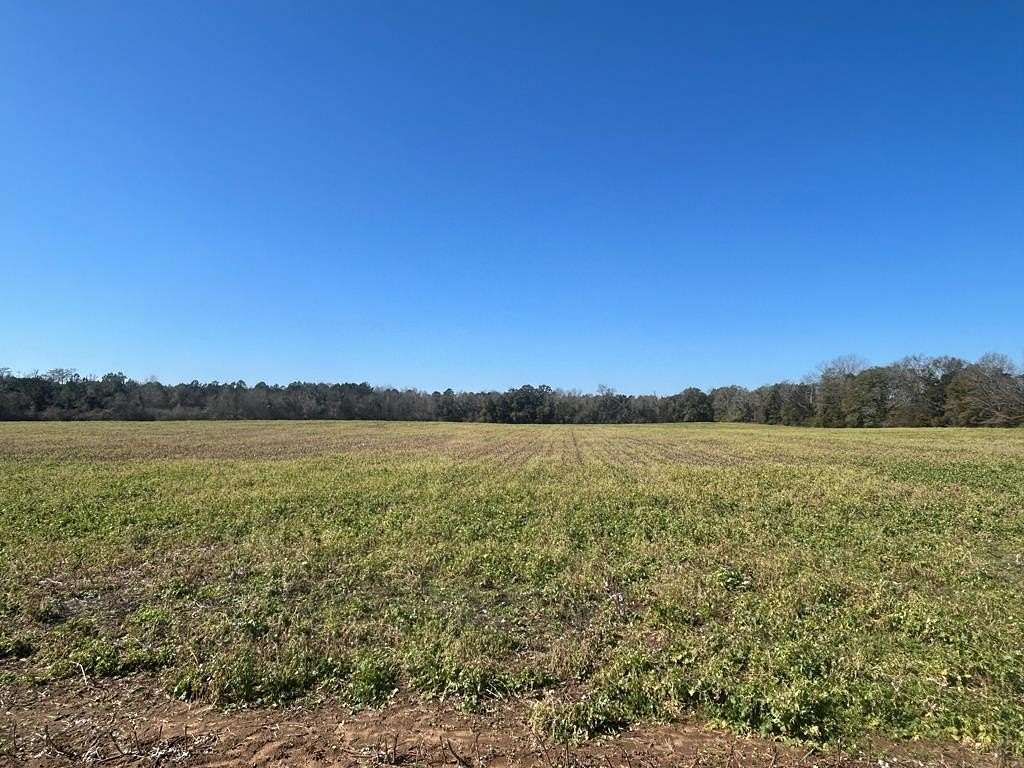 31.5 Acres of Agricultural & Residential Land for Sale in Cottonwood, Alabama