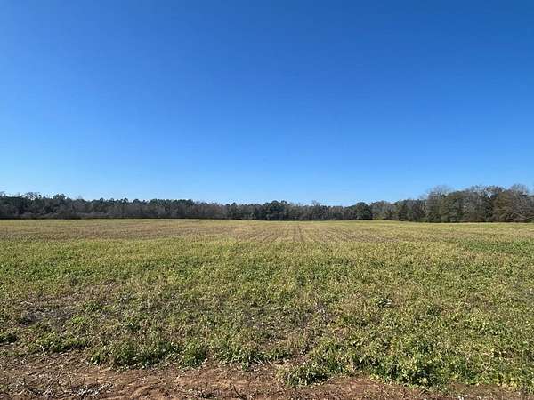 31.5 Acres of Agricultural & Residential Land for Sale in Cottonwood, Alabama