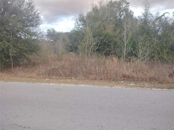 0.18 Acres of Residential Land for Sale in Ocala, Florida