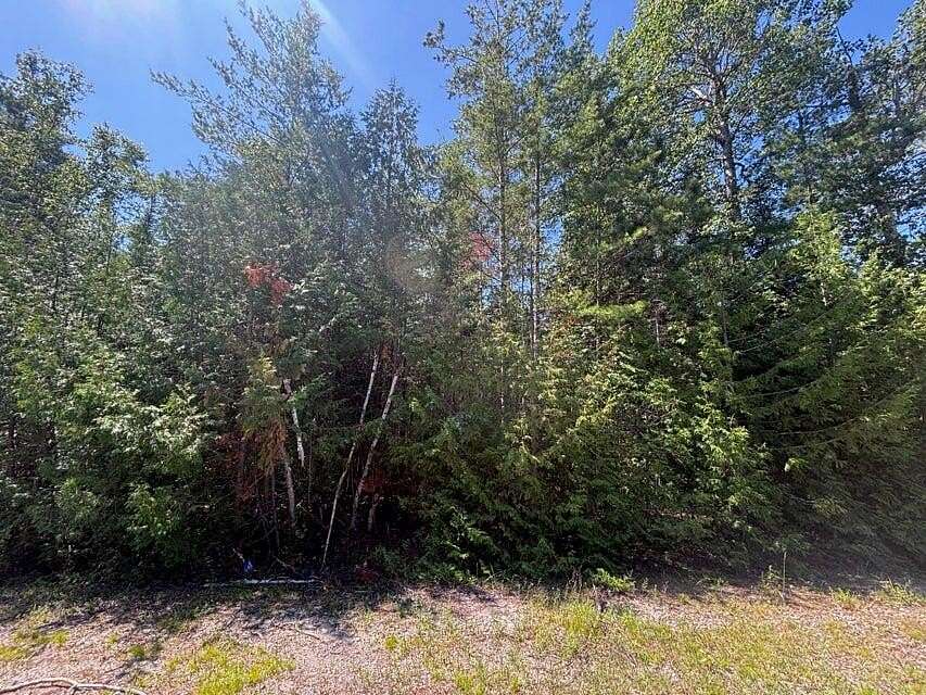 Residential Land for Sale in Presque Isle, Michigan