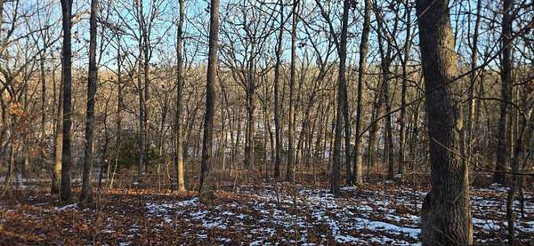 46.8 Acres of Recreational & Residential Land for Sale in Dunnegan, Missouri