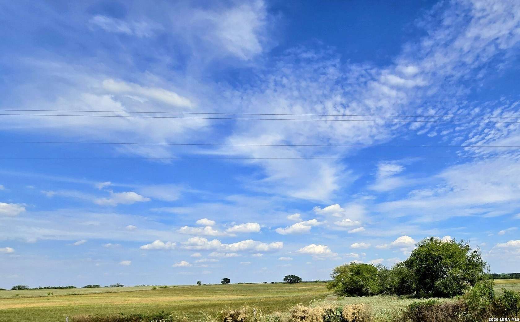 23.5 Acres of Agricultural Land for Sale in Bigfoot, Texas