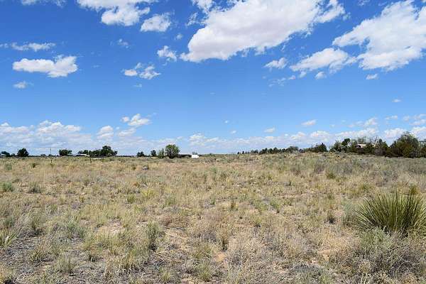 0.17 Acres of Residential Land for Sale in Willard, New Mexico