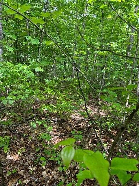 5.43 Acres of Residential Land for Sale in Wilder, Tennessee