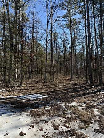 12 Acres of Recreational Land for Sale in Clinton, Arkansas