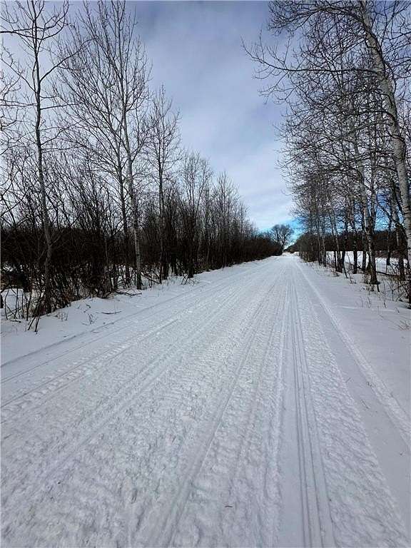 20 Acres of Recreational Land & Farm for Sale in Spruce Hill Township, Minnesota