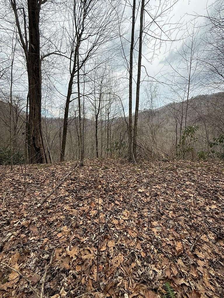 7.86 Acres of Residential Land for Sale in Bryson City, North Carolina