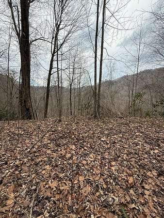 7.86 Acres of Residential Land for Sale in Bryson City, North Carolina