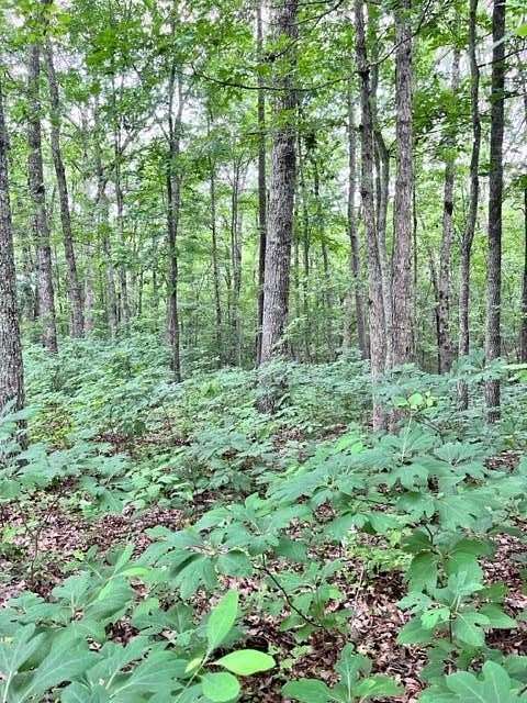 5.48 Acres of Residential Land for Sale in Wilder, Tennessee