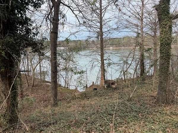 Residential Land for Sale in Abbeville, Alabama