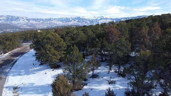 2 Acres of Residential Land for Sale in Ridgway, Colorado