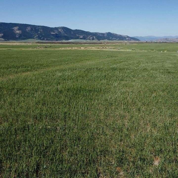 20 Acres of Recreational Land for Sale in Soda Springs, Idaho