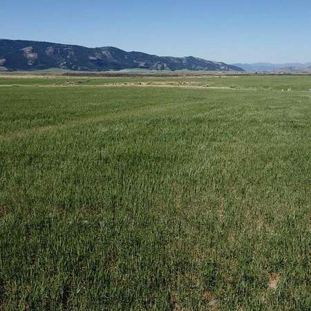20 Acres of Recreational Land for Sale in Soda Springs, Idaho