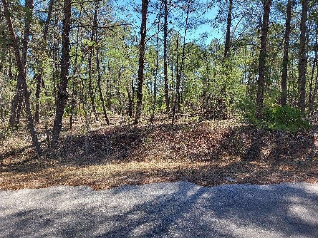 0.24 Acres of Residential Land for Sale in Ocala, Florida