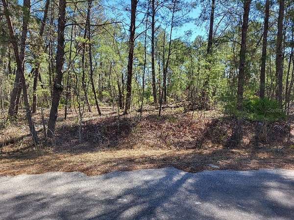 0.24 Acres of Residential Land for Sale in Ocala, Florida