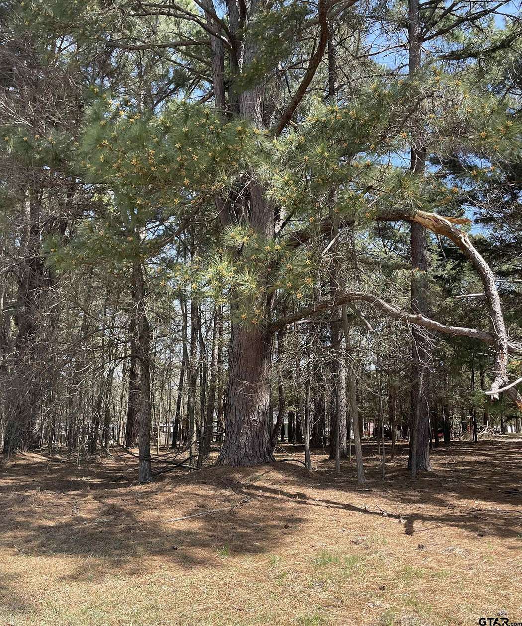 1.38 Acres of Residential Land for Sale in Pittsburg, Texas