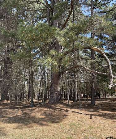 1.38 Acres of Residential Land for Sale in Pittsburg, Texas