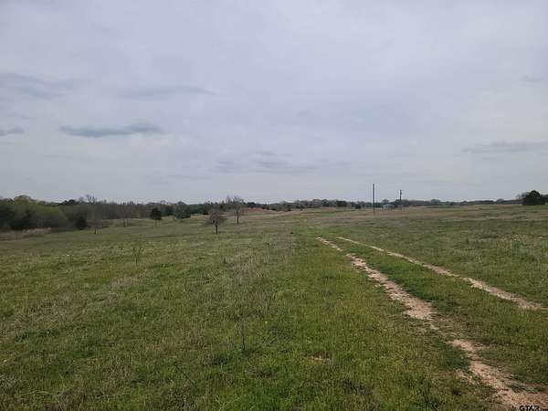 80.1 Acres of Recreational Land & Farm for Sale in Pittsburg, Texas