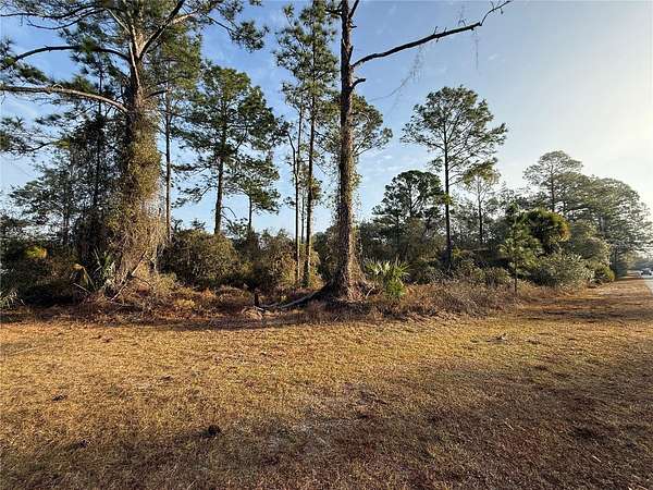 1 Acre of Residential Land for Sale in Eustis, Florida