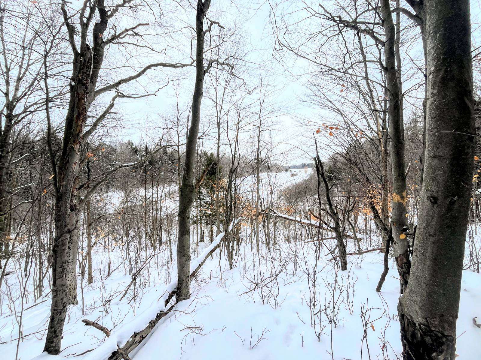 71 Acres of Recreational & Residential Land for Sale in Canton, New York