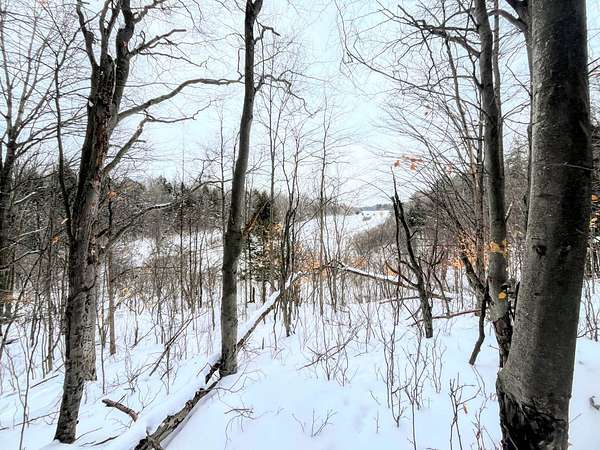 71 Acres of Recreational & Residential Land for Sale in Canton, New York